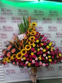 flor-floristeria-medellin-n105-3-las-madres-tienen-un-sello-especial-que-las-hace-dulces-fuertes-comprensivas-que-las-llena-de-coraje-feliz-dia-flor-floristeria-medellin