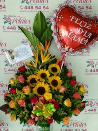 flor-floristeria-medellin-n058-cuando-un-bebe-nace-algo-dentro-de-nosotros-cambia-y-sin-necesidad-de-que-alguien-lo-diga-nace-una-nueva-familia-felicidades-por-la-llegada-de-flor-floristeria-medellin